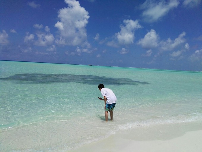泰姬珍品岛 Taj Exotica Resort